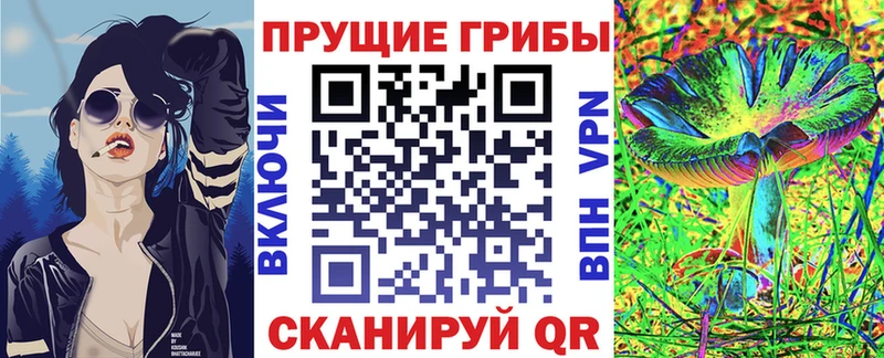 Псилоцибиновые грибы MAGIC MUSHROOMS цена Шахты
